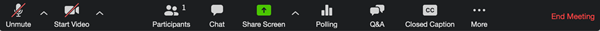 Figure 3. Host Control toolbar with various icons, including a highlighted green icon.