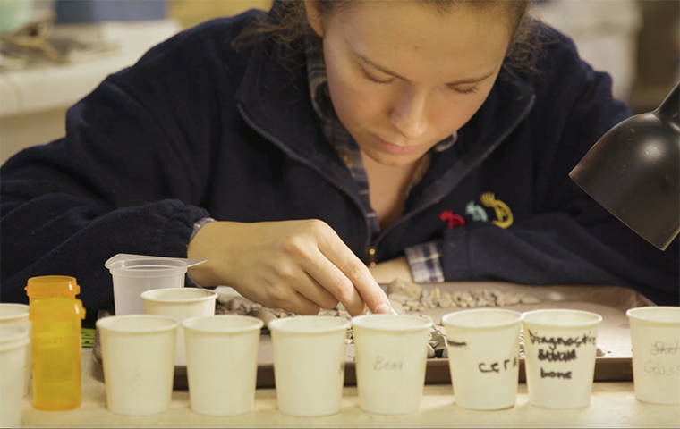 Student looks over artifacts pulled from Franklin Street excavation. image link to story