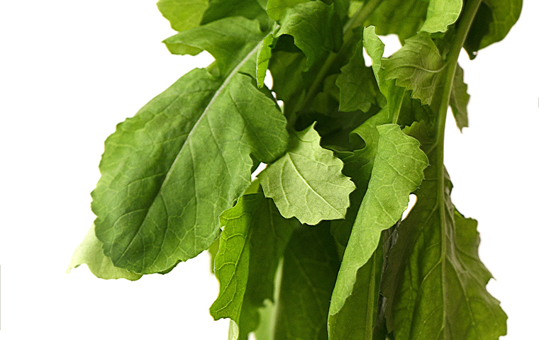 Leafy greens