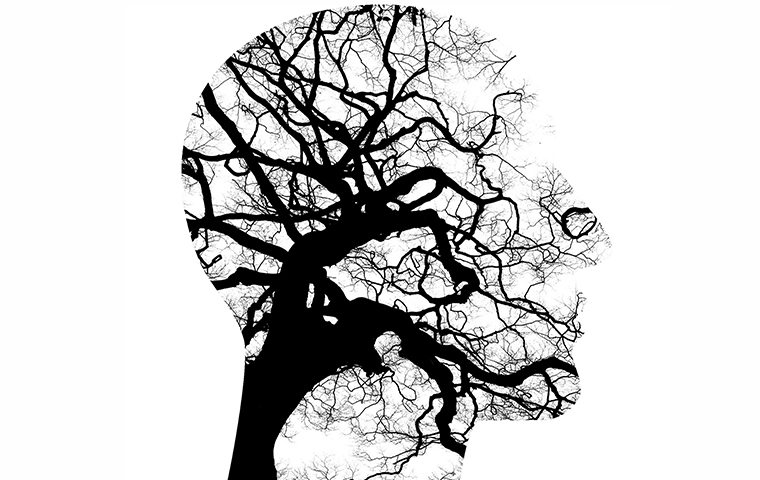 The outline of a head filled with a tree 