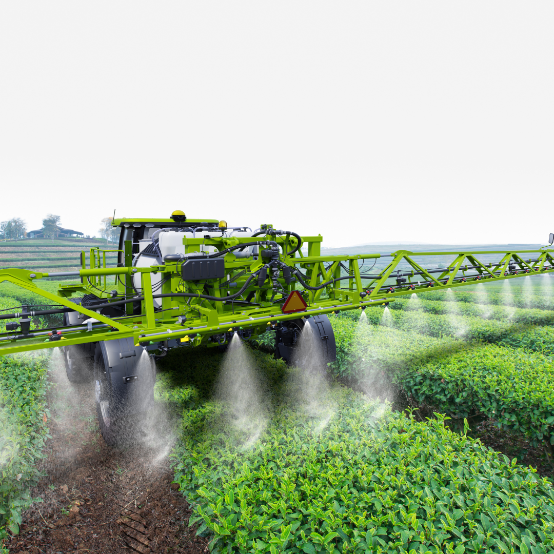 Food Innovation