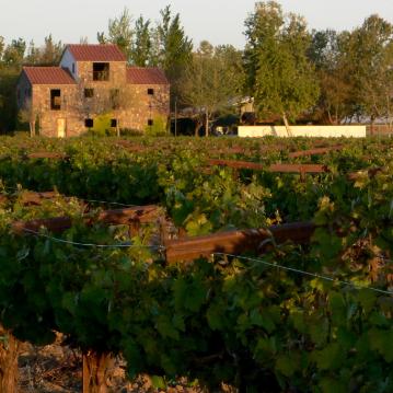 Cardella Winery
