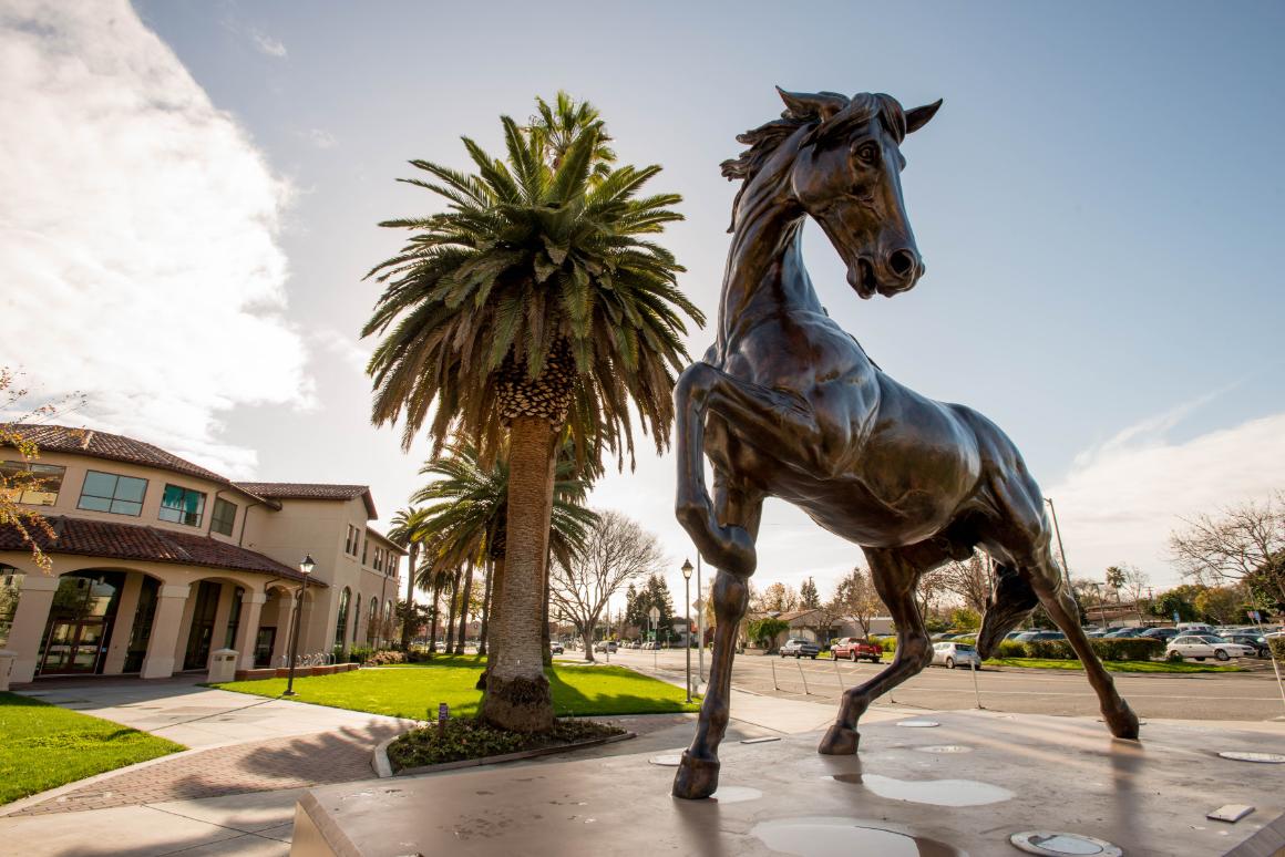 Bronco Statue Stock 