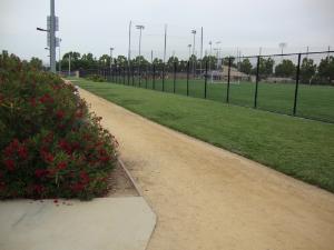 Bellomy track